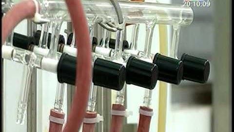 CHẢO CHỐNG DÍNH CÓ NGUY CƠ GÂY UNG THƯ - THỜI SỰ HTV9