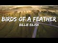 Billie Eilish BIRDS OF A FEATHER Lyrics