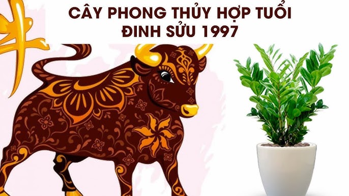4. Ưu tiên & ứng dụng theo không gian thực tế