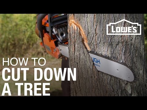 How To Cut Down A Tree