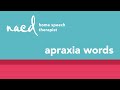 Speech Therapy for Apraxia-Words: App Instructions for Parents