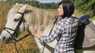 PORTRAIT OF A PRETTY BRUNETTE YOUNG WOMAN WITH A WHITE HORSE RIDING SHEREFNXL