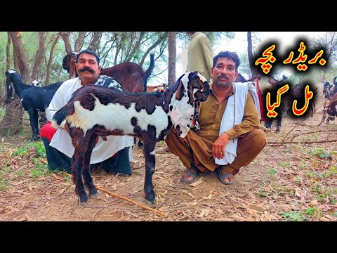 Baba Rasheed Driver Top Class Amritsari Breader Bcha Of Famous Baba Rasheed - YouTube