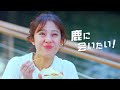【近鉄公式】「鹿に会いたい」大阪から奈良へCM30秒ver.