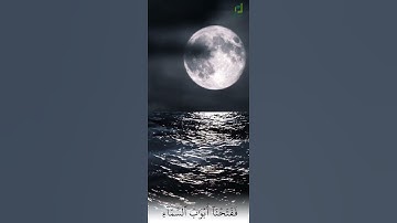 حالات واتساب | فدعا ربه أني مغلوب فانتصر| أحمد النفيس| تلاوة مؤثرة من سورة القمر