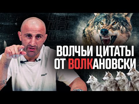 Волчьи цитаты от Александра Волкановски