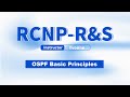 Ruijie Training | RCNP RS | OSPF Basic - 1