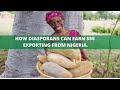 How African Diasporas Can make $$$ Exporting from Nigeria