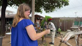 We got to feed more birds at the Bird Sanctuary!