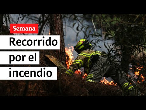 SEMANA llegó hasta el corazón del incendio en el cerro El Cable | Semana Noticias