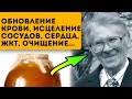 Смотрите! Болотов уже давно изобрел эликсир исцеления тела +5 рецептов кваса Болотова