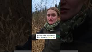 Knospen Im Winter Die Geheime Vorschau Auf Den Frühling