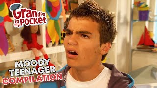 Moody | Teenager | Compilation | Cousin Alvin | Grandpa In My Pocket | GT74 | Full Episodes screenshot 5