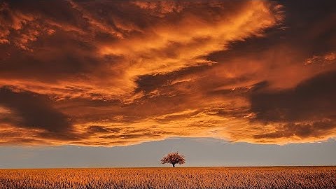 تلاوة خاشعة- الشيخ عبد الباسط {هَٰذَا خَلْقُ اللَّهِ فَأَرُونِي مَاذَا خَلَقَ الَّذِينَ مِن دُونِهِ}