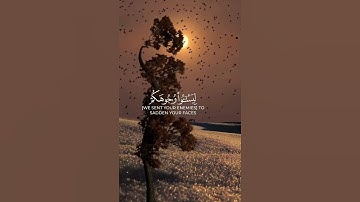 قرآن كريم بصوت جميل #قران_كريم #اكسبلور #راحة_نفسية #quran