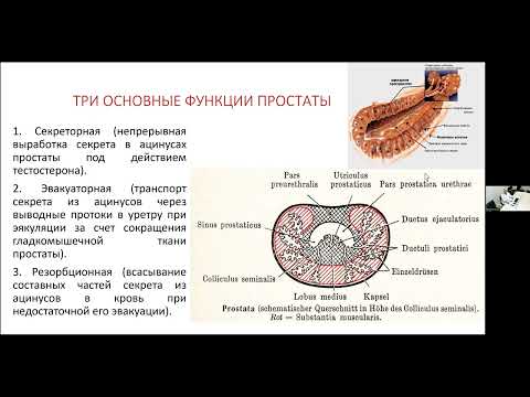 Капто А.А. Хронический простатит.