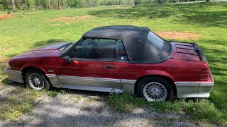 1990 Ford Mustang 5.0 GT 25th anniversary edition abandon yard find !￼