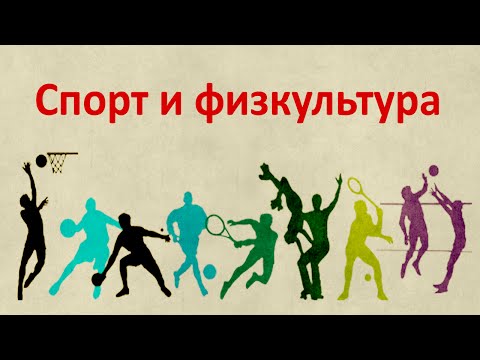 Спорт и физкультура