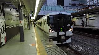 E257系0番台　9両編成　団体専用列車　新宿駅到着　2019.12.30