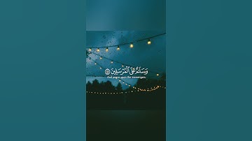 اجمل حالات واتس اب قران كريم بصوت جميل جدا ناصر القطامي 🎧💖 تلاوة خاشعة ومؤثرة🌸🍃 Quran status