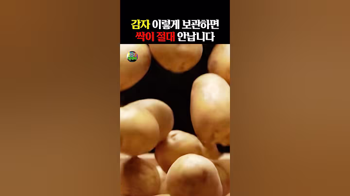 감자 이렇게 보관하면 싹이 절대 안납니다! #건강 #건강정보