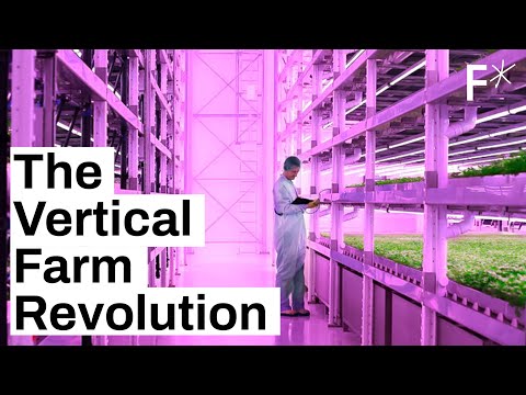How vertical farming can save the planet & feed the world