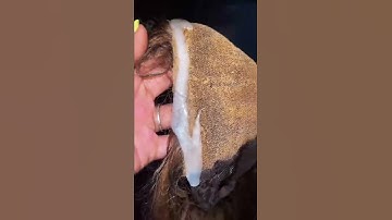 How to remove glue residue from your wigs? You got it! Ft HAIRSMARKET