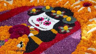 Fiesta Jarocha - Viva Mexico