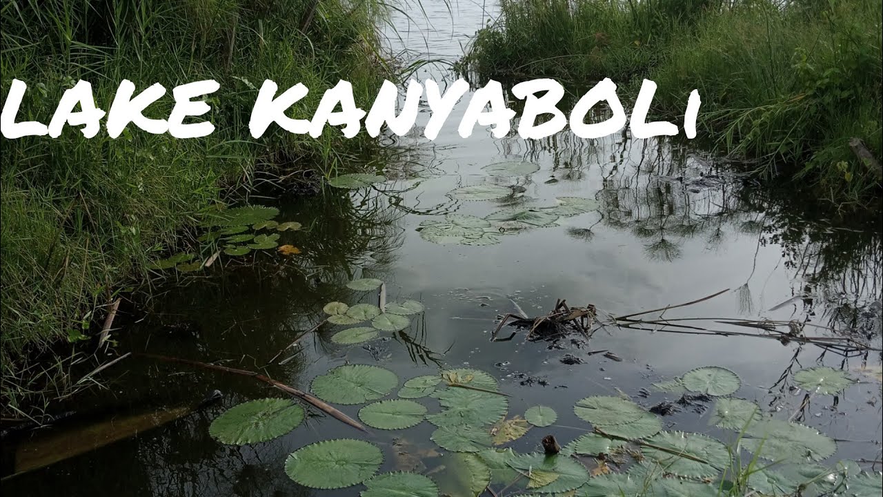 LAKE KANYABOLI THE SECOND LARGEST OXBOW LAKE IN AFRICA Kenya sfinest lake-kanyaboli-the-second-largest-oxbow-lake-in-africa-kenya-sfinest