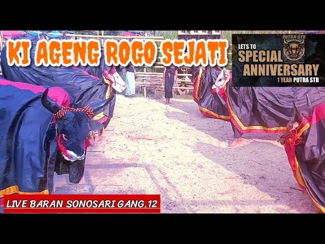 Ki Ageng Rogo Sejati spesial perfom anniversary 1 tahun putra STR class=