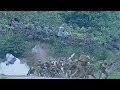 【抗日電影】共軍埋伏日軍支援小隊,天降石塊砸死眾日軍,成功阻擋日軍支援小隊! 抗日丨Kung Fu