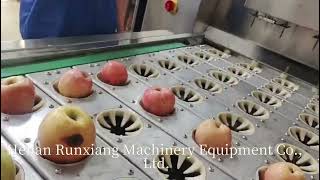 Fully Automatic Fruit and Vegetable Processing Production Line (Washing and Feeding)