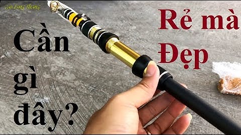 Đánh giá và Test Cần Câu Rút trâu bò, giá rẻ phiên bản mới!