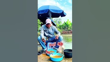 Hồ Câu Như Hiển. Chép Heo Ăn Mạnh ! #fishing #caucathugian #chanthanhfishing #thinhhanh