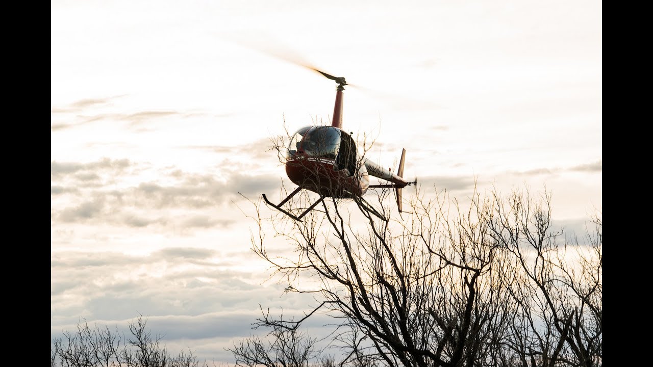 Kyle and Austin's Helicopter Hog Hunt with Pork Choppers Aviation YouTube