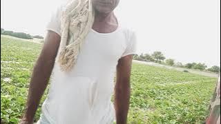 suhelo dhanuka plot. visit water Milan.