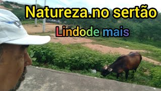 MAIS  1 VÍDEO  NA CAPOEIRA ( TESTE) FICOU  BOM ?