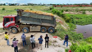 Download Lagu Start Processing Landfill New Task! Huge Size By skill Dozer pushing \u0026 Truck 25.5Ton Dumping Soil MP3 Download Lagu Start Processing Landfill New Task! Huge Size By skill Dozer pushing \u0026 Truck 25.5Ton Dumping Soil MP3