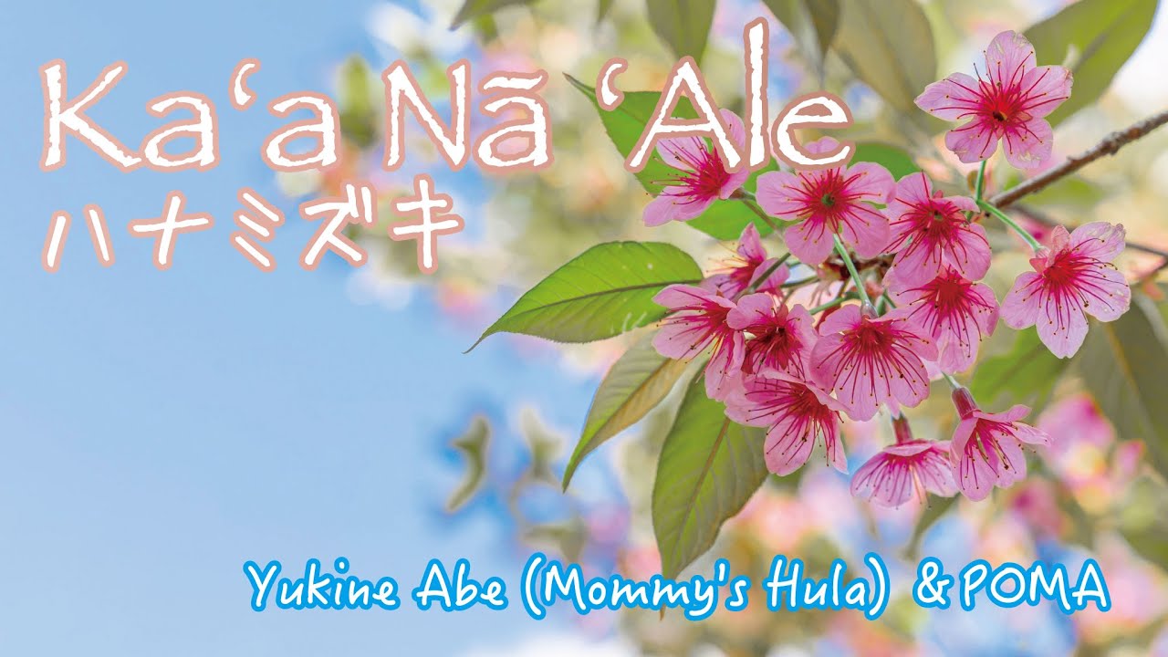 Kaʻa Na ʻAle(ハナミズキ) / Yukine Abe(Mommy's Hula) ＆POMA