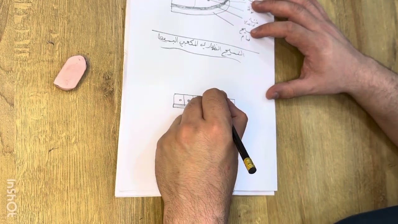 رسم النسيج الظهاري الحرشفي والمكعبي البسيط 