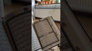 QUR'AN SURAH AL BAQARAH 2 AAYAT NO 229 WITH URDU TARJUMA #quranrecitation #LOVE #MOTIVATION #URDU