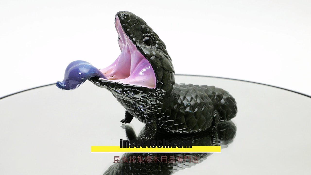 動物の惑星】「シークレット」ヒガシマツカサトカゲ フィギュア - 昆虫