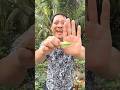 Câu chuyện con sâu #lanatrinh #funny #shortsvideo