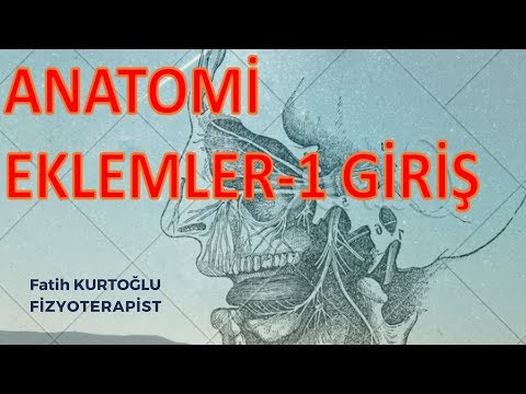 Video: Förräderiets Anatomi