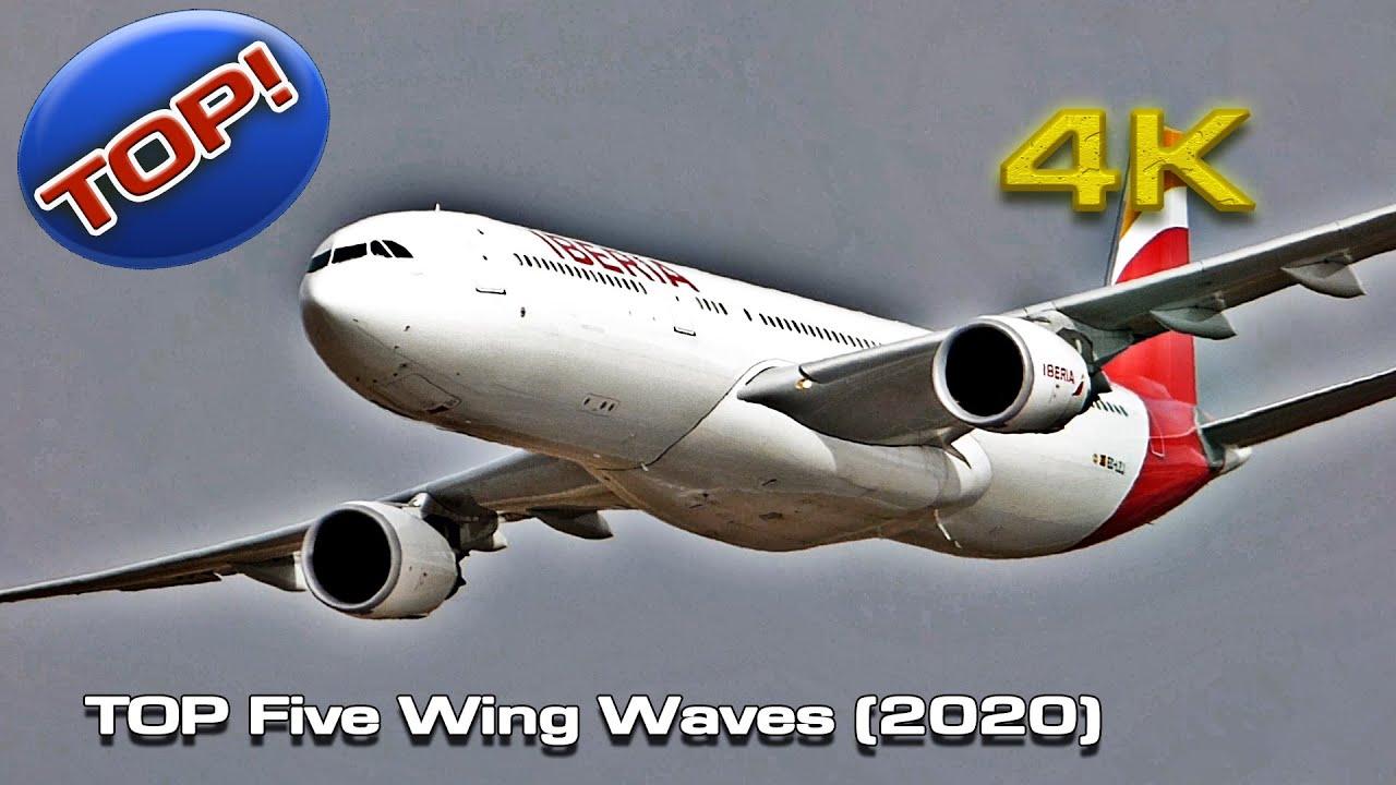Top five Wing Wave! YouTube