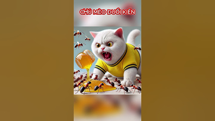 CHÚ MÈO ĐUỔI KIẾN #ai #cat #cute #meow #hàihước  #funny