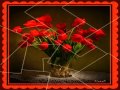 Download МИР ЦВЕТОВ И КРАСИВАЯ МУЗЫКА МИР ЦВЕТОВ И КРАСИВАЯ МУЗЫКА