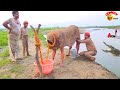 Very Special Trending Comedy Video 2024 😂 Amazing Funny Video Episode 153 By funny dabang