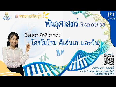 พันธุศาสตร์ ม.3 Genetics EP.1 เข้าใจได้ง่าย