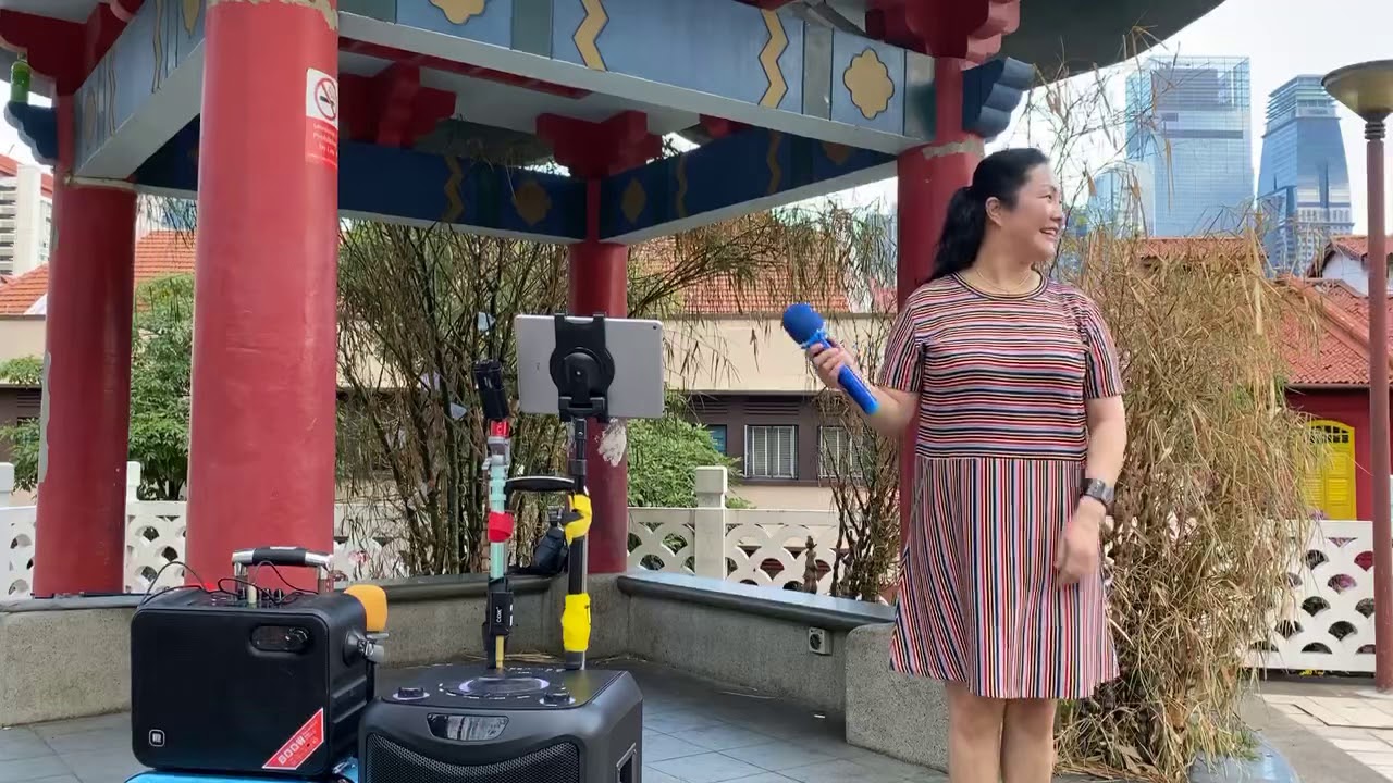 [ 泪的小雨 ] 10月16号星期三 牛车水天桥花园 Singapore Chinatown MRT Garden Bridges